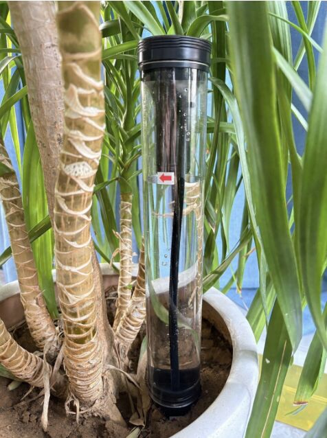 Step 2: Insert the RootBeacon sensor probe into potted plant soil
